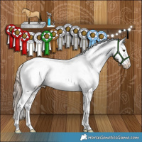 Horse Color:Liver Red Dun Appaloosa Brindle 
