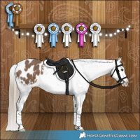 Horse Color:Liver Red Dun Appaloosa Brindle 