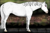 Horse Color:Silver Brown Chinchilla Sabino 