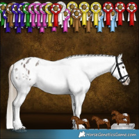 Horse Color:Liver Red Roan Sabino Appaloosa 