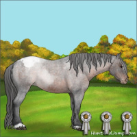 Horse Color:Brown Roan Sabino Appaloosa 