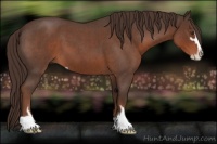 Horse Color:Liver Red Roan Sabino 