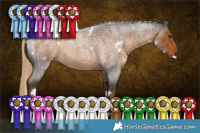 Horse Color:White Spotted Chocolate Palomino Roan 