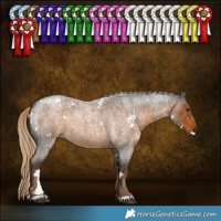 Horse Color:White Spotted Chocolate Palomino Roan 