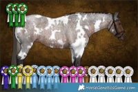 Horse Color:White Spotted Liver Red Roan