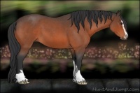 Horse Color:Brown Roan Sabino 