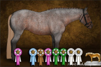 Horse Color:Liver Red Roan Rabicano 