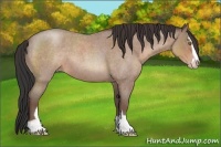 Horse Color:Sable Champagne Roan Sabino 