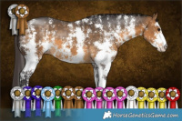 Horse Color:Buckskin Sabino 
