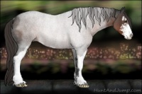 Horse Color:Liver Red Roan Sabino Rabicano