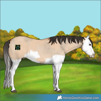 Horse Color:Bay Dun Splash  and Bay Roan Dun Splash 