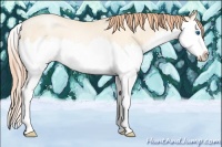 Horse Color:Amber Cream Champagne Roan Pearl Splash Rabicano 