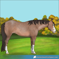 Horse Color:Sable Champagne 