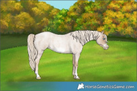 Horse Color:Chocolate Palomino Roan Pearl Frame