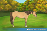 Horse Color:Amber Cream Champagne 
