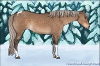 Horse Color:Silver Brown Dun Tobiano 