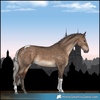 Horse Color:Silver Brown Dun Tobiano 