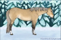 Horse Color:Silver Buckskin Dun Tobiano