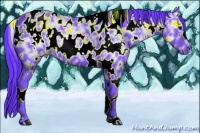 Horse Color:Watercolor White Spotted Black Ice Appaloosa 