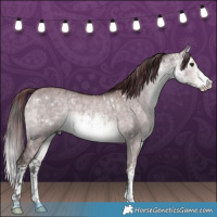Horse Color:Platinum White Spotted Buckskin Dun and Platinum White Spotted Chocolate Brown Dun
