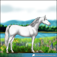 Horse Color:Silver Brown Tobiano Varnish 
