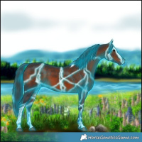 Horse Color:Thunderstruck Brown Tobiano 