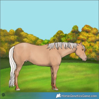 Horse Color:Silver Classic Champagne 