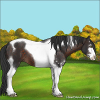 Horse Color:Brown Sabino Tobiano 