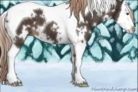 Horse Color:White Spotted Liver Chestnut Splash Tobiano 