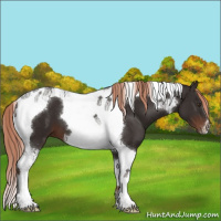 Horse Color:Liver Chestnut Tobiano 