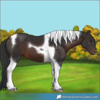 Horse Color:Brown Tobiano 