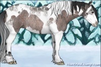 Horse Color:Brown Roan Splash Tobiano Rabicano 