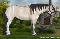 Horse Color:Brown Ice Roan Dun