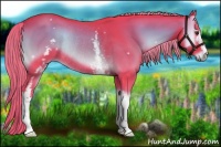 Horse Color:Watercolor White Spotted Chocolate Palomino Onyx Rabicano