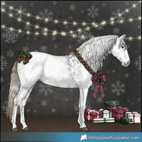 Horse Color:Gray Liver Chestnut Sabino Rabicano