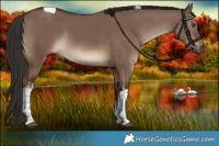 Horse Color:White Spotted Liver Red Dun Tobiano Rabicano