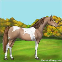 Horse Color:Liver Chestnut Pearl Tobiano