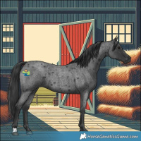 Horse Color:Blue Roan 