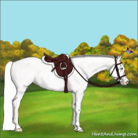 Horse Color:Cremello 