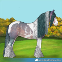 Horse Color:Watercolor Buckskin Sabino Tobiano 