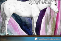 Horse Color:Smoky Black Sabino 