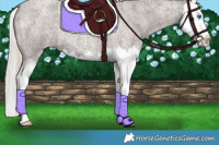 Horse Color:Silver Blue Roan Splash 