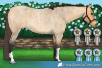 Horse Color:Buckskin Roan 