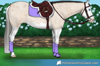 Horse Color:Bay Roan Dun Splash 