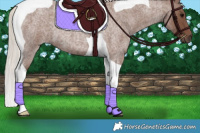 Horse Color:Silver Blue Roan Tobiano 