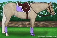 Horse Color:Silver Smoky Blue Roan 