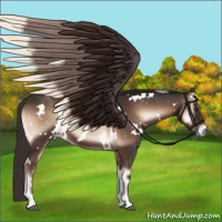 Horse Color:White Spotted Liver Red Onyx 