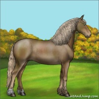 Horse Color:Chocolate Palomino Rabicano 