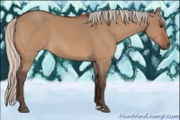 Horse Color:Silver Brown Dun