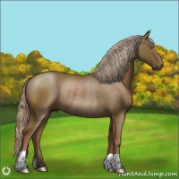 Horse Color:Chocolate Palomino Rabicano